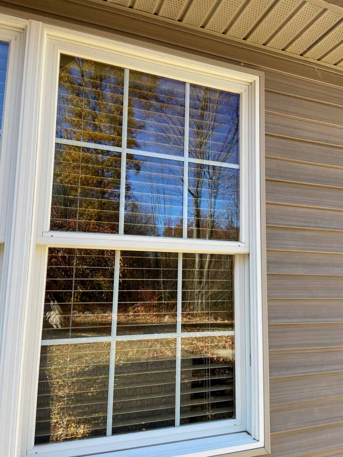 Window Cleaning image
