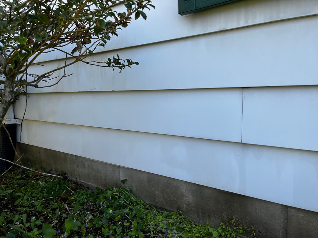 White house siding with green window trim and a nearby shrub, showing moisture marks.