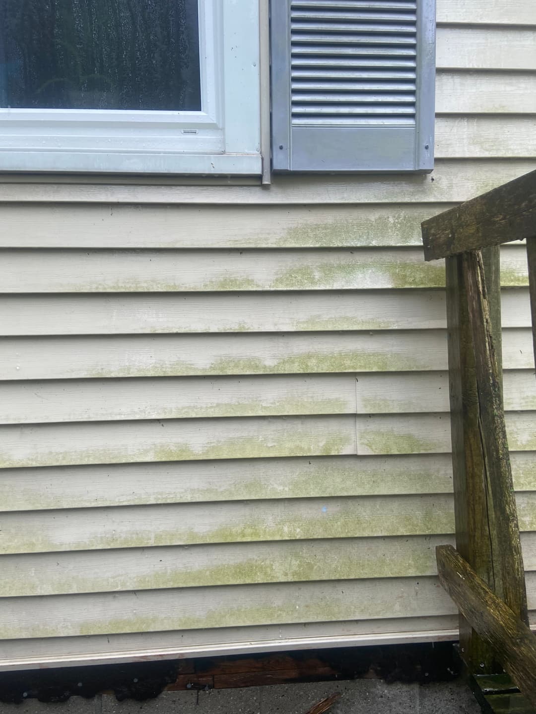 Mold growth on exterior siding near window and wooden railing, indicating potential moisture issues.