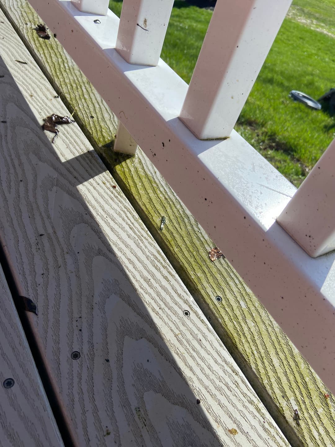Close-up of a wooden deck railing with stains and debris in sunlight, green grass in background.