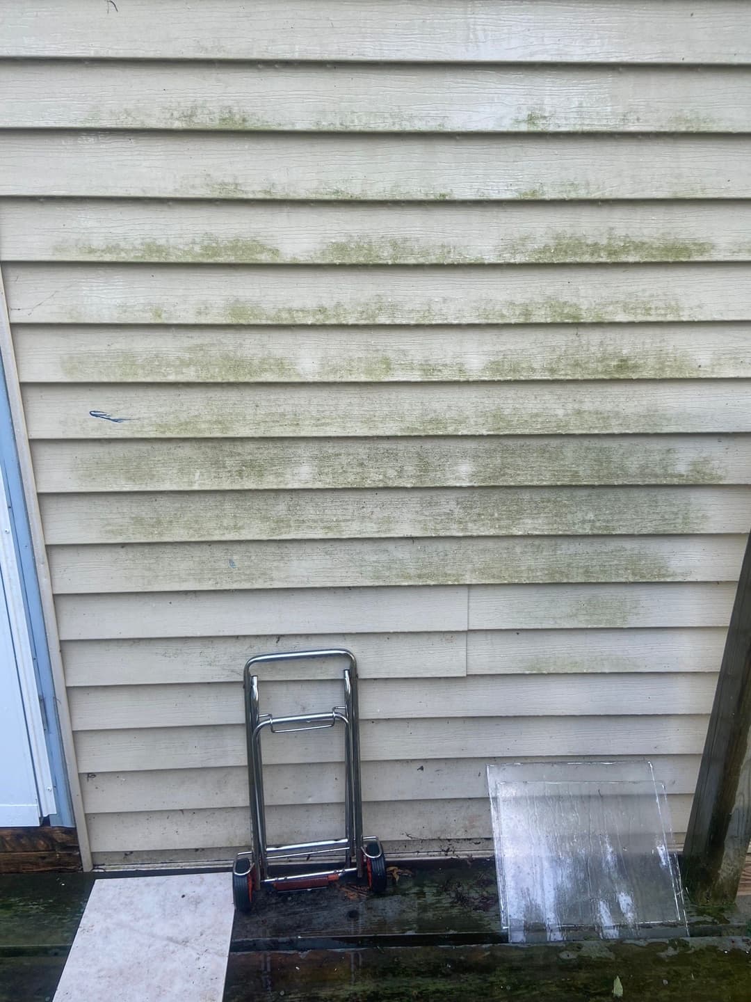 Moldy siding with a cart and clear plastic sheet on a wooden deck outdoors.