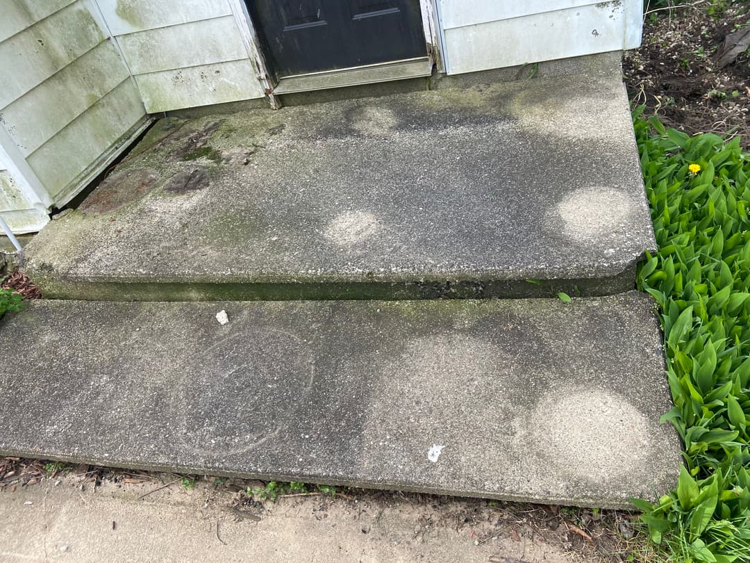 Weathered concrete steps with visible stains and surrounding green foliage.