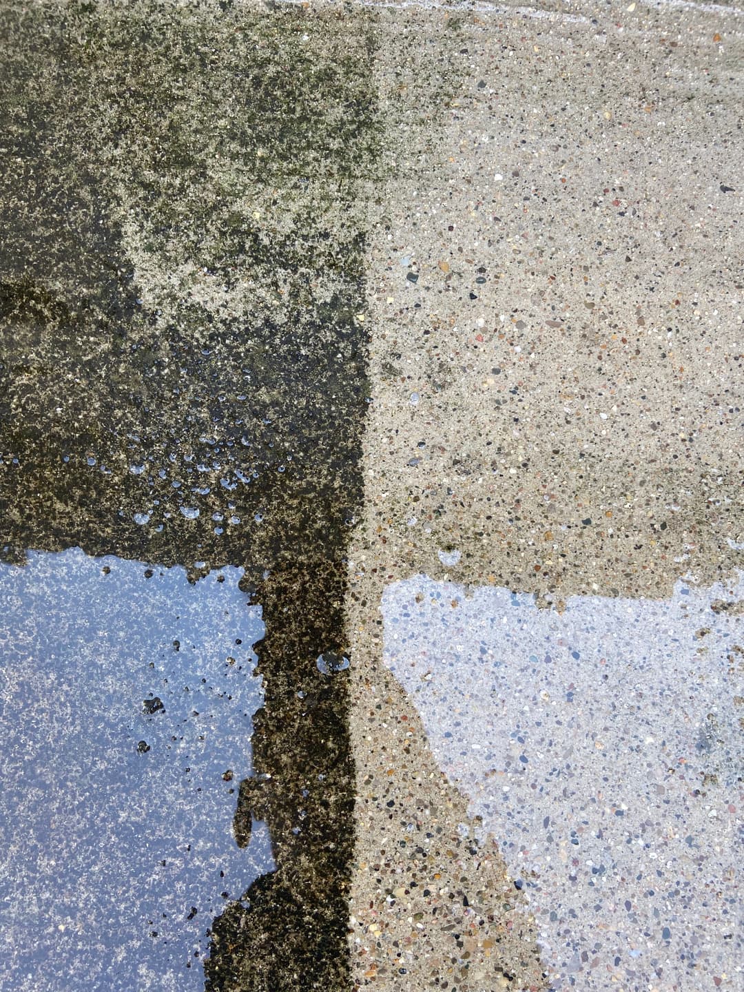 Before and after cleaning comparison of wet concrete surface showing stains and clarity.