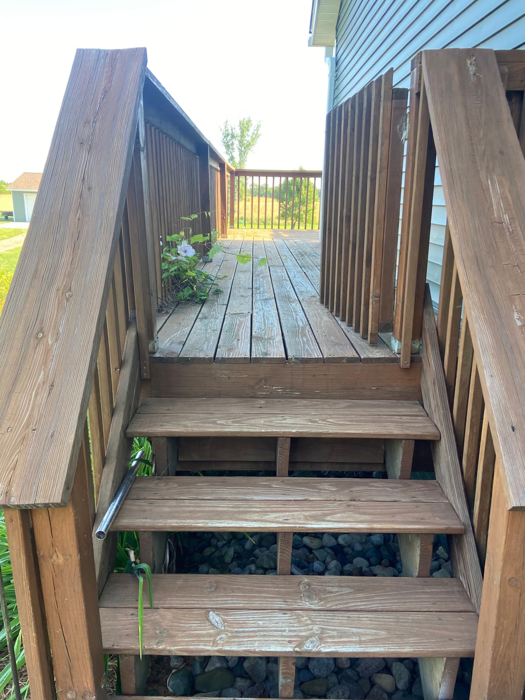 Wooden stairs leading up to a deck with grassy surroundings and flowers.