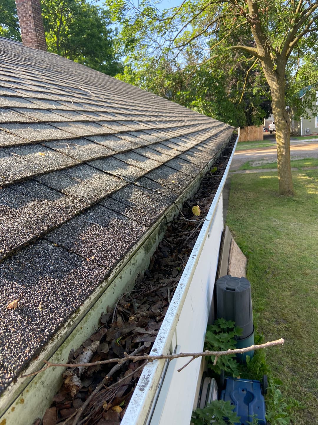 Clogged gutter filled with leaves and twigs on a sloped roof in sunlight.
