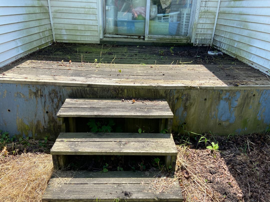 Weathered wooden steps leading to a garden area with overgrown weeds and debris.