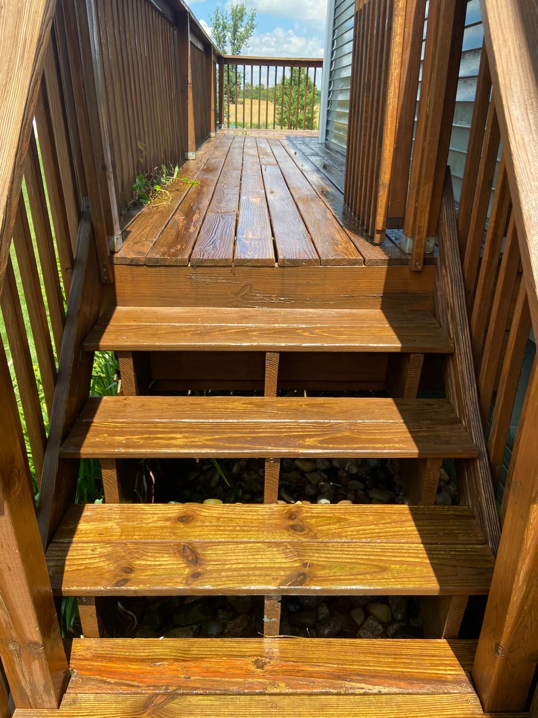 Wooden staircase leading up to a porch with sunlight and greenery in the background.