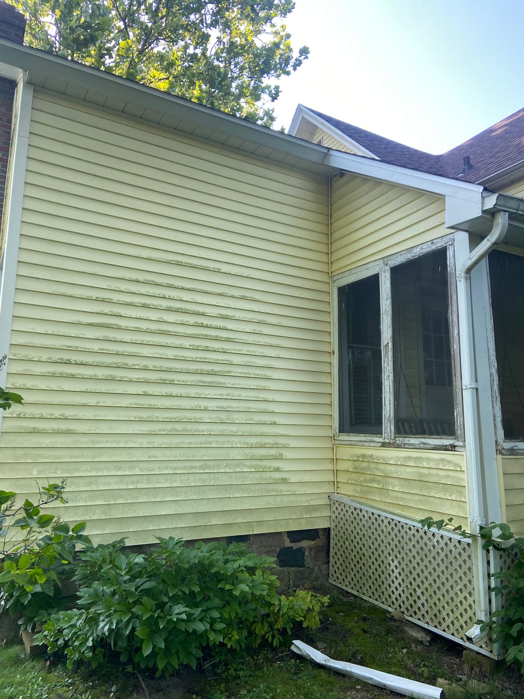 Weathered yellow siding on a house with visible wear and overgrown plants.