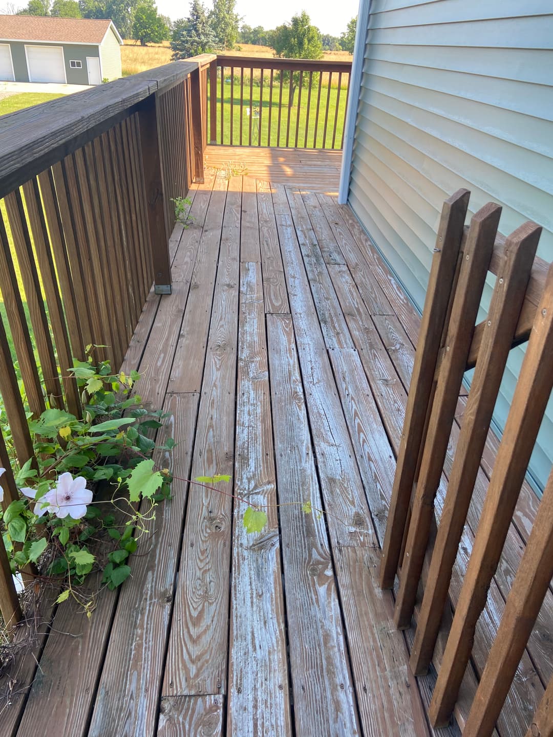 Wooden deck with railing and potted plants, surrounded by greenery and blue sky.