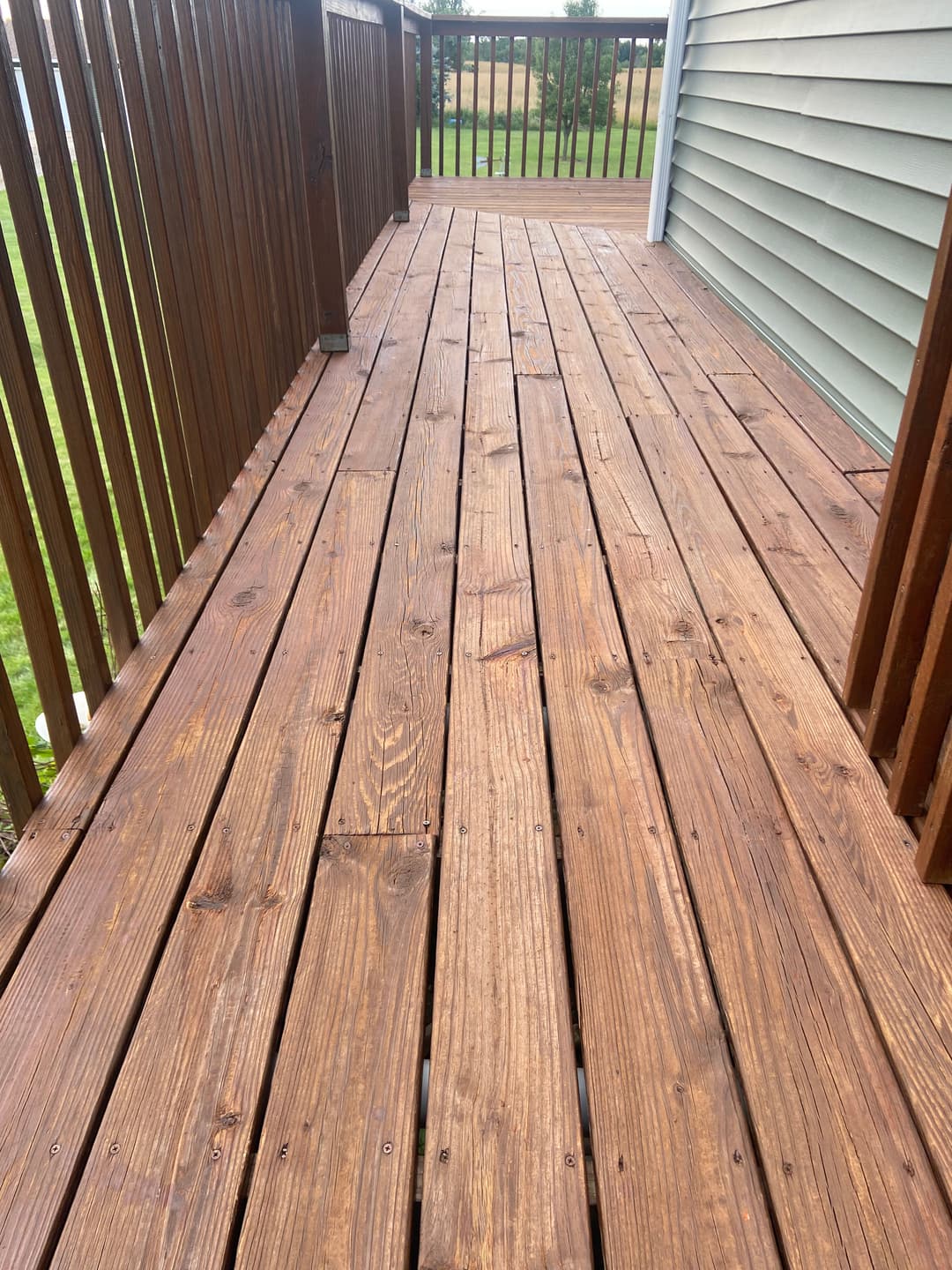 Newly stained wooden deck with rich texture and natural finish, featuring railings and greenery beyond.