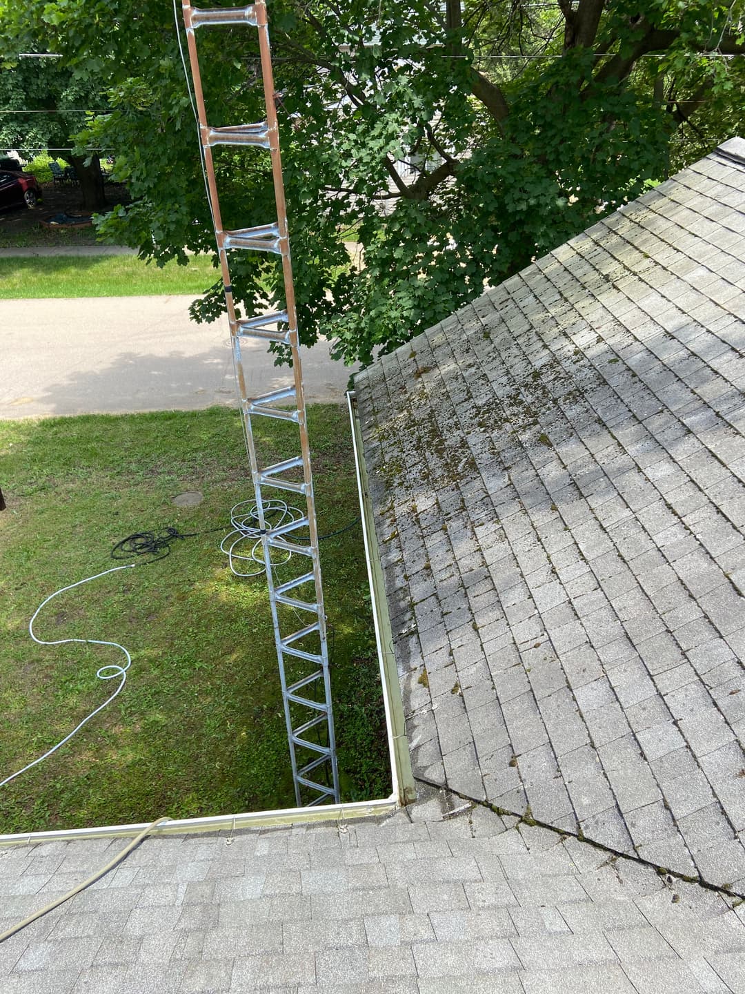 Ladder positioned by roof showing mossy shingles and green foliage in background.