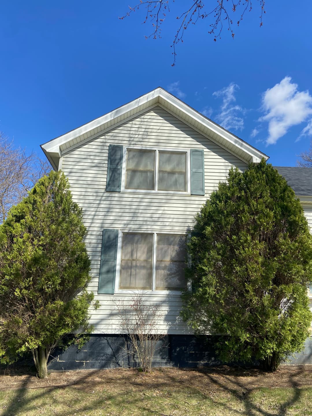 Two evergreen bushes frame a light-colored house with large windows under a blue sky.