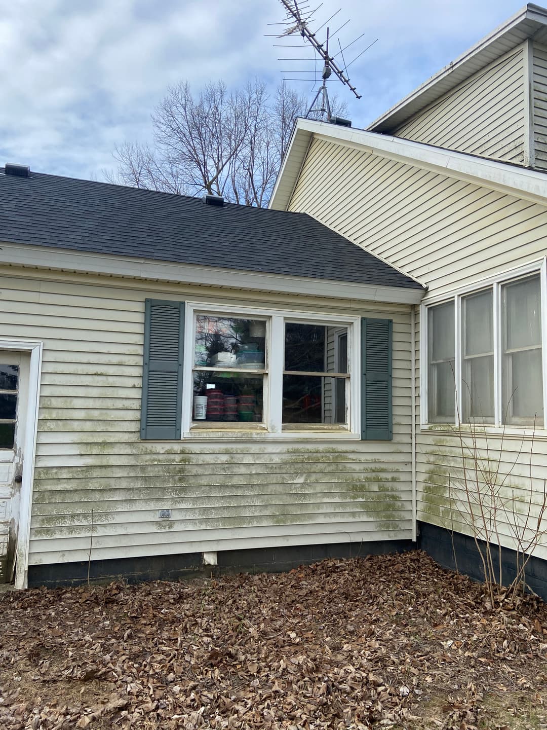 Side view of a house featuring a dirty window and overgrown yard with bare tree branches.