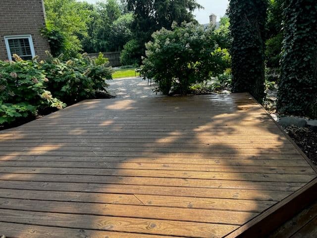 Gallery photos for Revitalize Your Deck with Expert Soft Washing: Image #1